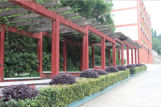 1559634429378686.jpg 1559634429378686.jpg