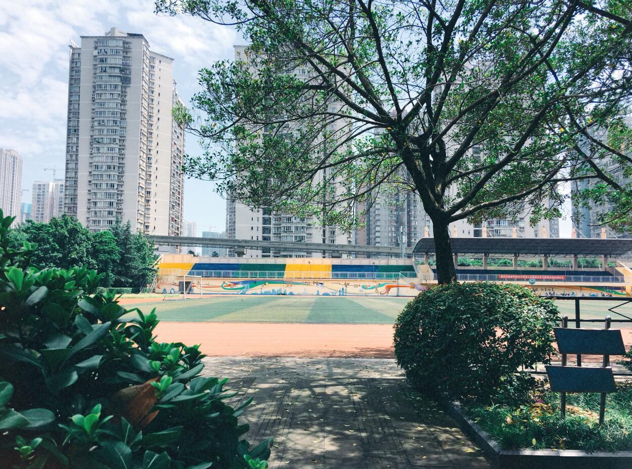重庆市旅游学校环境图 重庆市旅游学校环境图