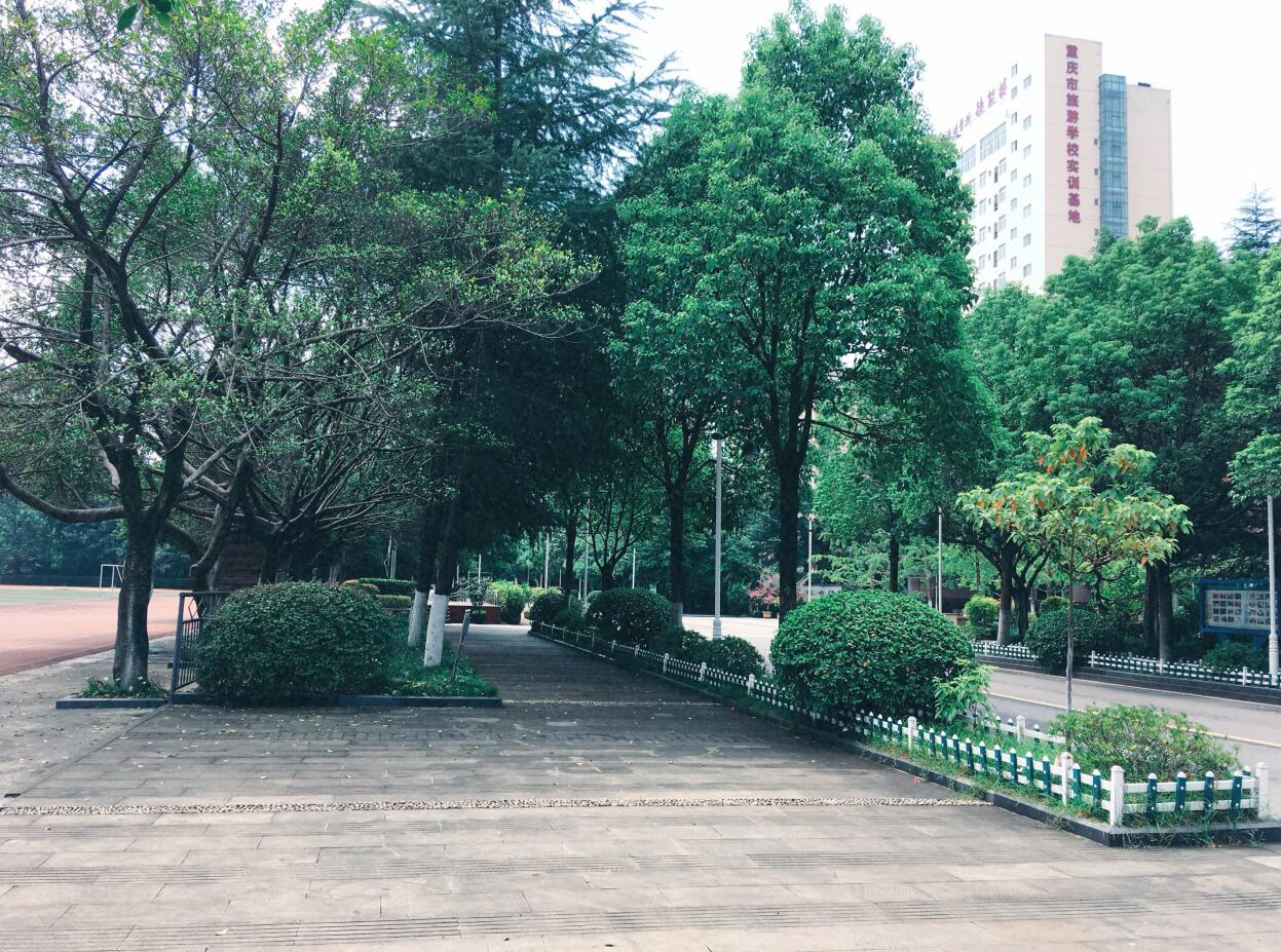 重庆市旅游学校环境图 重庆市旅游学校环境图
