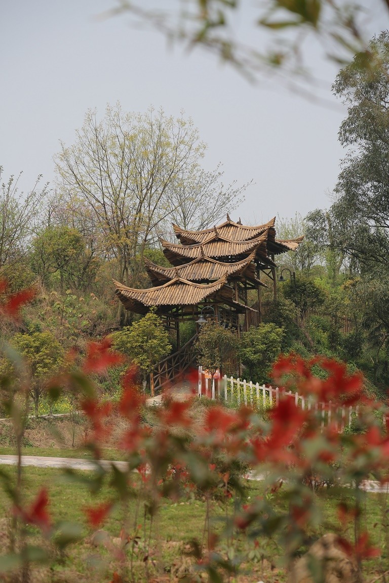 重庆艺术学校招生、2019年招生专业有哪些 重庆艺术学校招生、2019年招生专业有哪些
