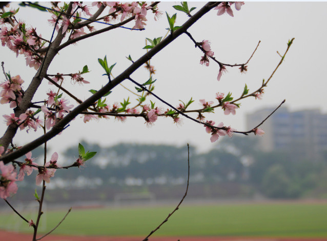 重庆市行知职业技术学校环境 重庆市行知职业技术学校环境