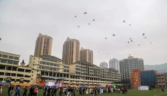 重庆市万盛职业教育中心招生要求 重庆市万盛职业教育中心招生要求