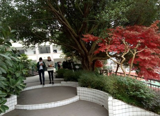 重庆市统景职业学校招生 重庆市统景职业学校招生