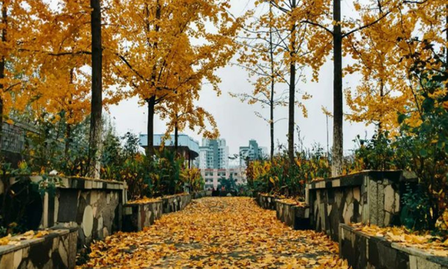 重庆市万州职业教育中心招生计划 重庆市万州职业教育中心招生计划