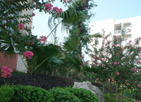 重庆市万州职教中心 重庆市万州职教中心