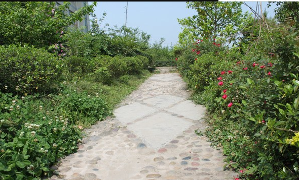 重庆市中意职业技术学校2019招生简章 重庆市中意职业技术学校2019招生简章