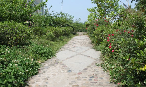 重庆市中意职业技术学校环境 重庆市中意职业技术学校环境