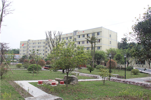 重庆轻轨学校 重庆轻轨学校