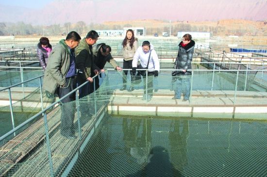 水产养殖专业介绍、水产养殖专业就业前景怎么样 水产养殖专业介绍、水产养殖专业就业前景怎么样