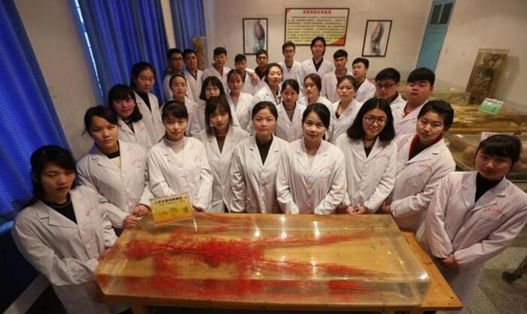 读临床医学专业就业前景怎么样?