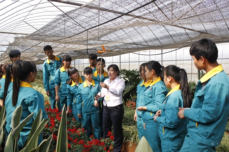 云南省林业高级技工学校现代林业2 云南省林业高级技工学校现代林业2