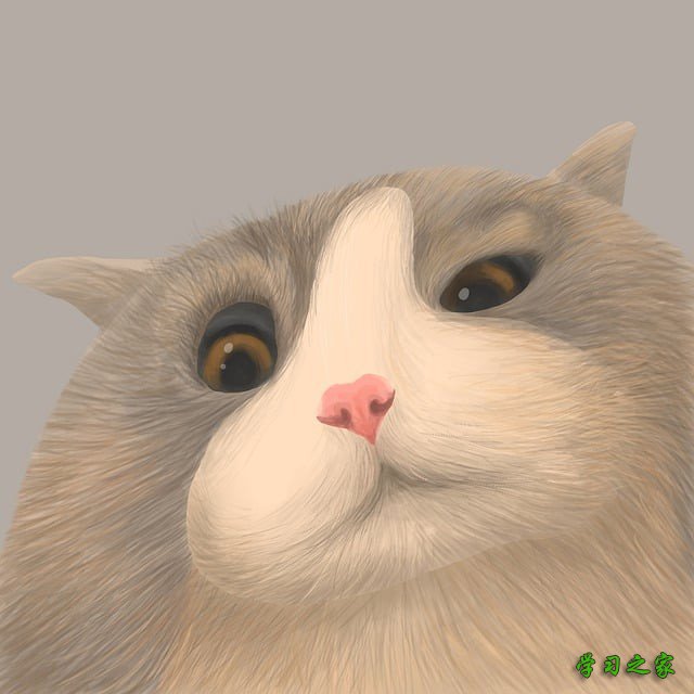 重庆市彭水县职业教育中心服装制造与生产管理专业怎么样?