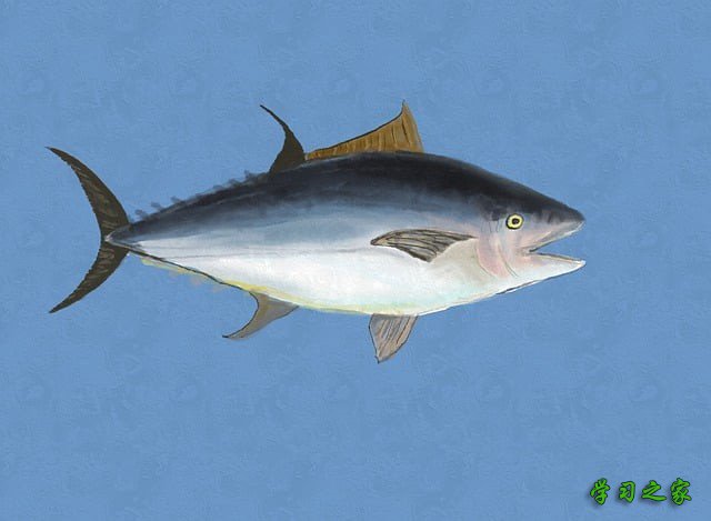 昆明航空旅游职业中学2025年招生分数线