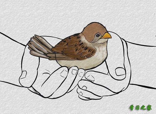 成都市中山职业技术学校怎么样/环境好不好 成都市中山职业技术学校怎么样/环境好不好