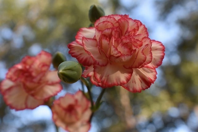 重庆市卫生学校针灸推拿专业好不好 重庆市卫生学校针灸推拿专业好不好