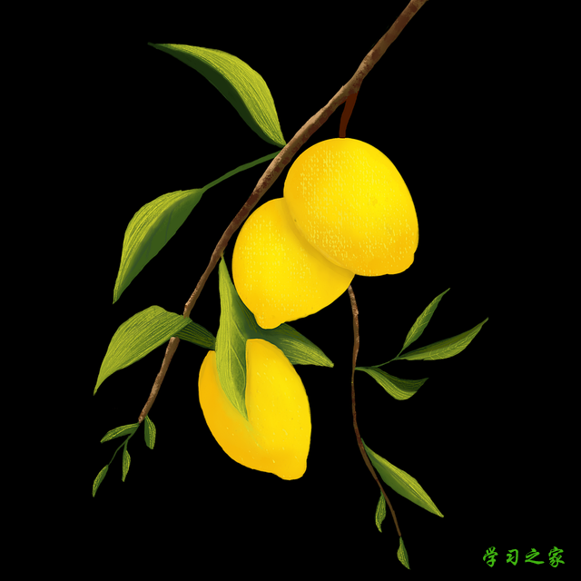 毕节市职业技术高级中学2025年招生计划