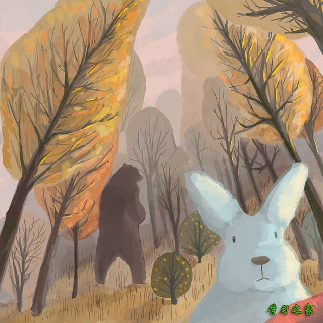 川北幼儿师范高等专科学校2025年单招情况