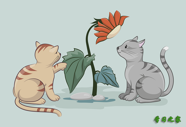 成都市职业学校计算机应用技术专业就业状况