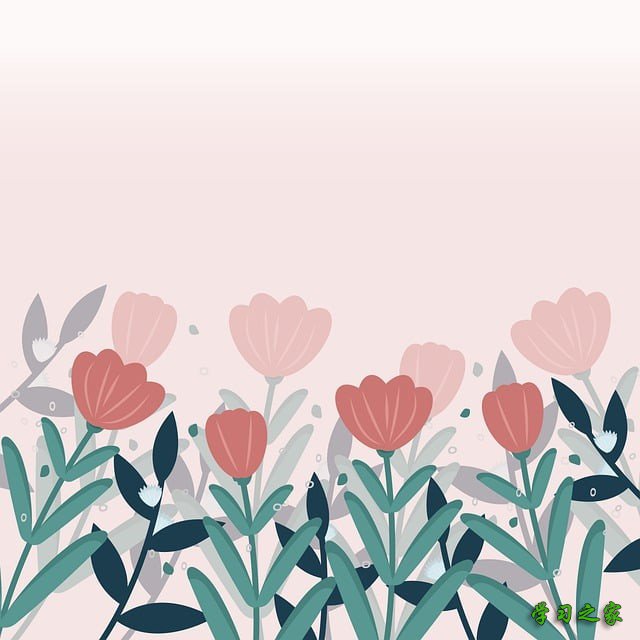 重庆市幼师学校的专业怎么样