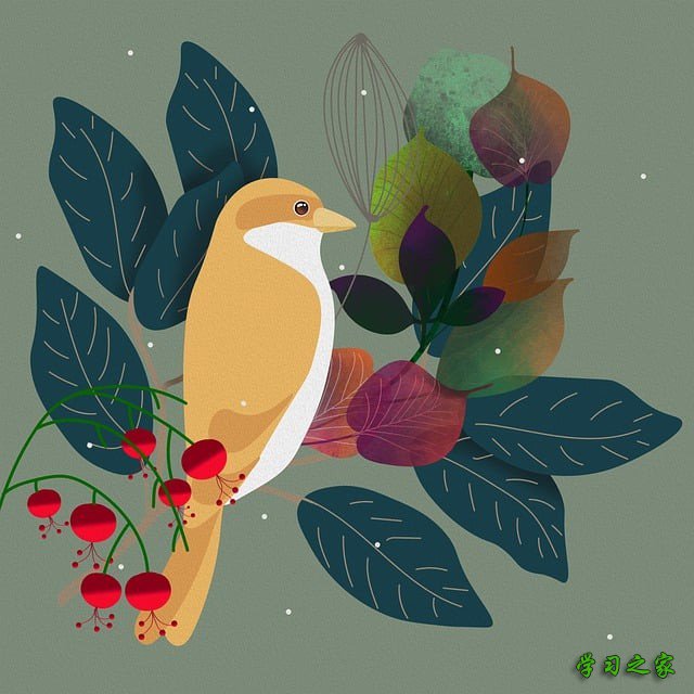 内江求是职业技术学校2025年报名指南「简介」