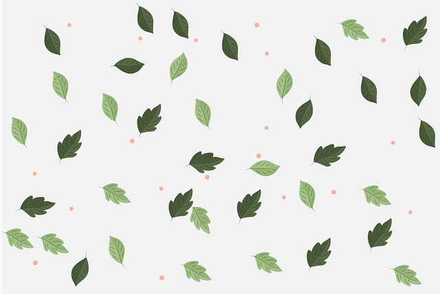 重庆市第二交通技工学校2025年开学时间是什么时候呢？