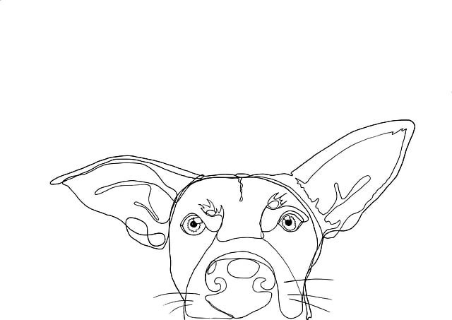 贵州省幼师学校学费高不高