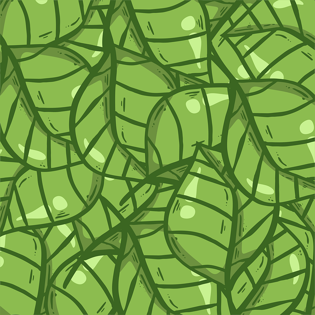 初中和高中起点的护理专业有什么不一样?