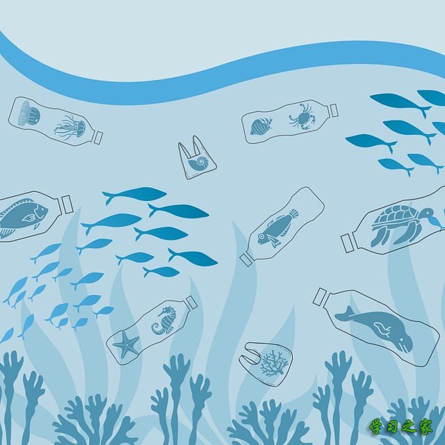 贵州省初中生可以上幼师学校吗