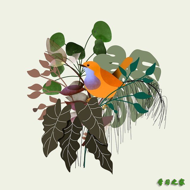 重庆市万州职业教育中心旅游服务与管理专业怎么样? 重庆市万州职业教育中心旅游服务与管理专业怎么样?