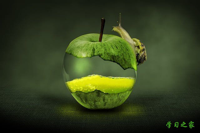 重庆市卫校有口腔医学专业吗