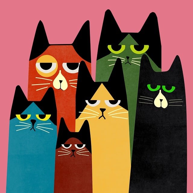 内江泰来计算机职业学校2025年招生简章