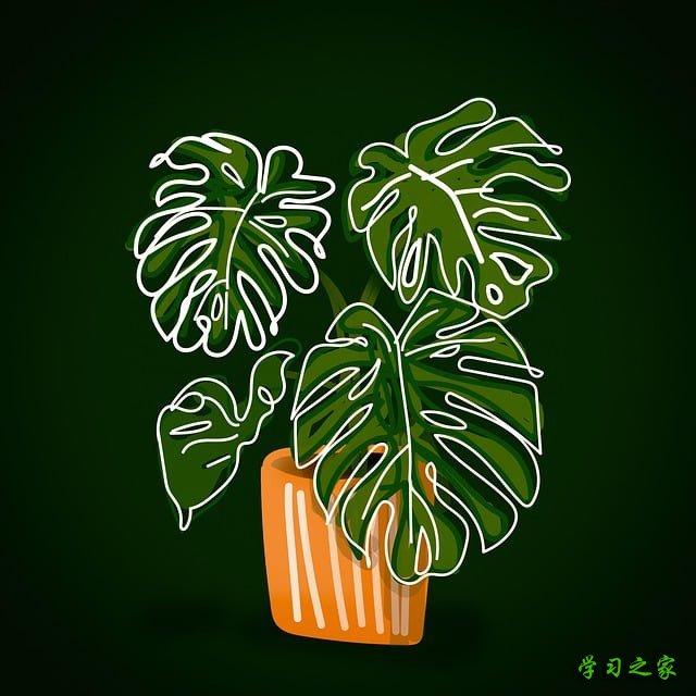 重庆市垫江县第二职业中学校计算机及应用专业怎么样?