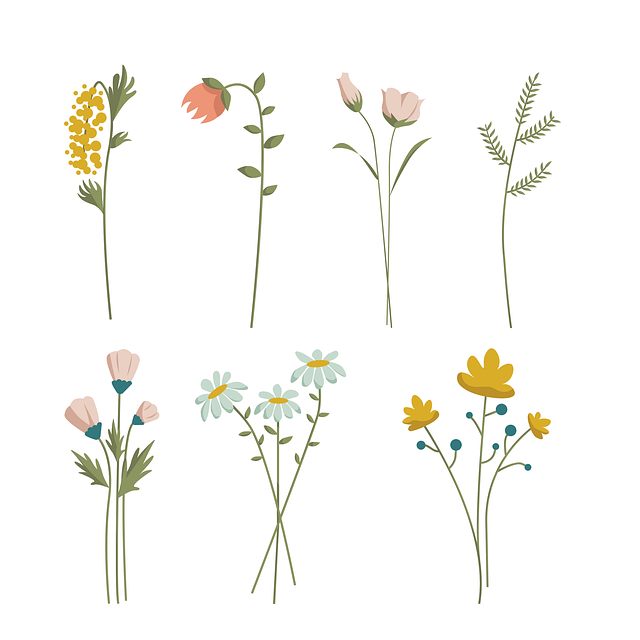 南昌铁路卫生学校2025年招生分数线多少