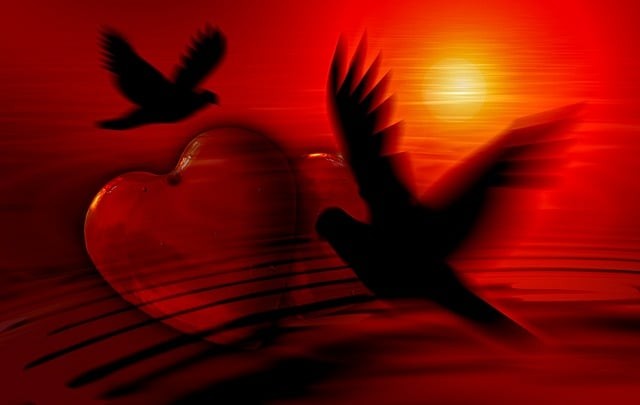 重庆市商务职业学院五年制大专办学好不好？