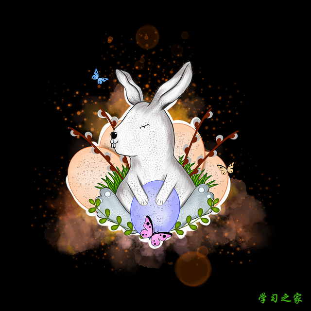 内江求是计算机职业技术学校2025年报名条件