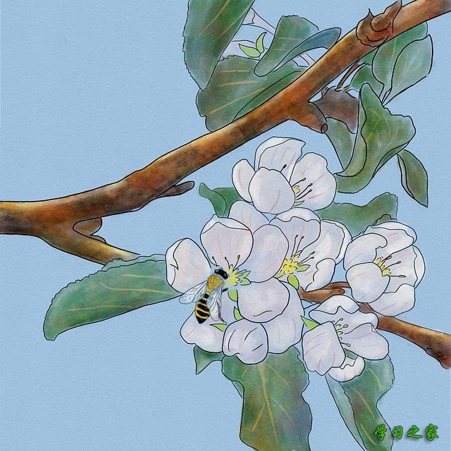 2025年重庆市卫校高级护理就业前景如何