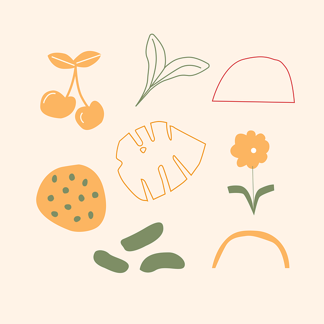 川北幼儿师范高等专科学校2025年开设专业 川北幼儿师范高等专科学校2025年开设专业