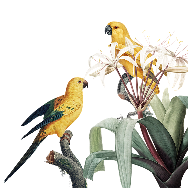 成都市新运职业学校怎么样/环境好不好