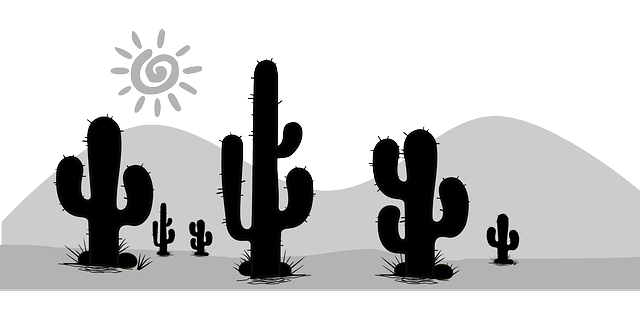 贵阳卫生学校2025年招生如何