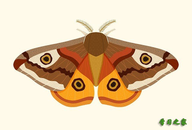 重庆市松藻技工学校地址在哪儿？