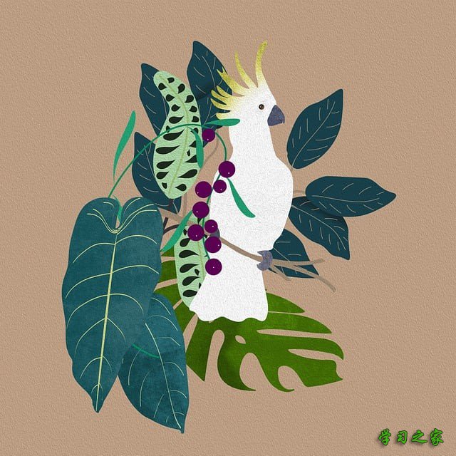 成都市文家场卫校怎样样