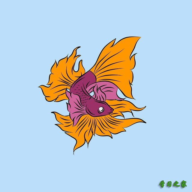 成都市航空学校飞机维修专业就业前景分析