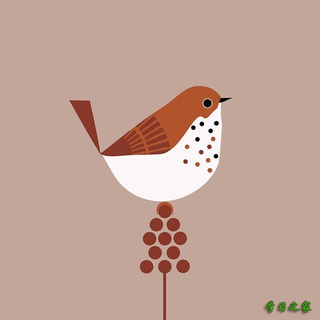 报读贵州最好的幼师学校毕业工资是多少？