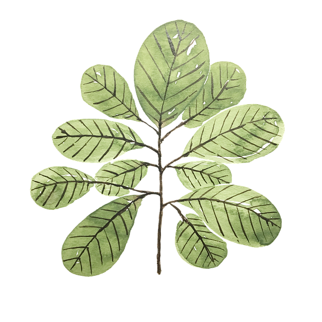 泸州医学院卫生学校2025年春季招生简介