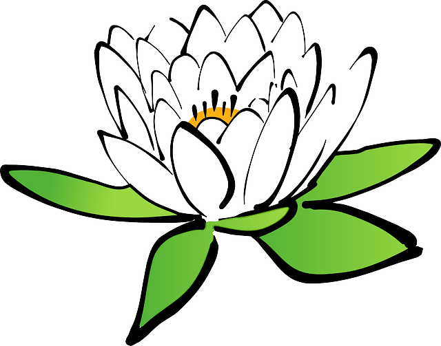 成都市青羊区卫校毕业后引荐就业吗