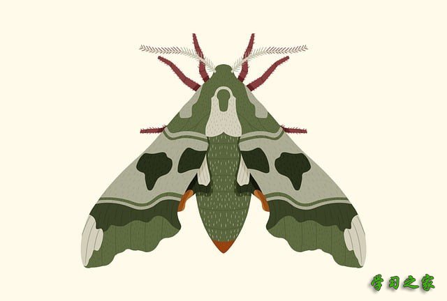 乐山市竹根职业中专学校2025年招生简章 乐山市竹根职业中专学校2025年招生简章