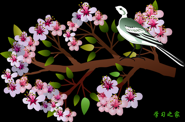 2024年云南省临沧卫生学校招生简介「计划内招生」