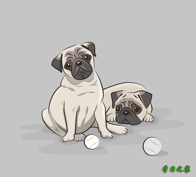 贵州省初中生读幼师学校怎么样