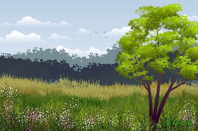 成都市计算机农业科技职业学院2025年报名条件