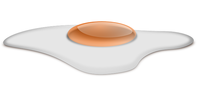 2024年夹江县云吟职业中学校招生简介